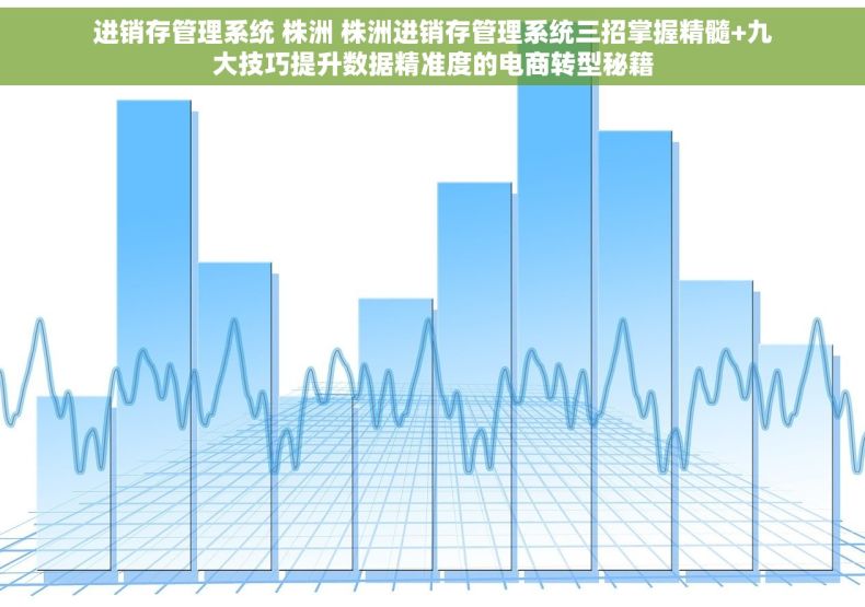 进销存管理系统 株洲 株洲进销存管理系统三招掌握精髓+九大技巧提升数据精准度的电商转型秘籍