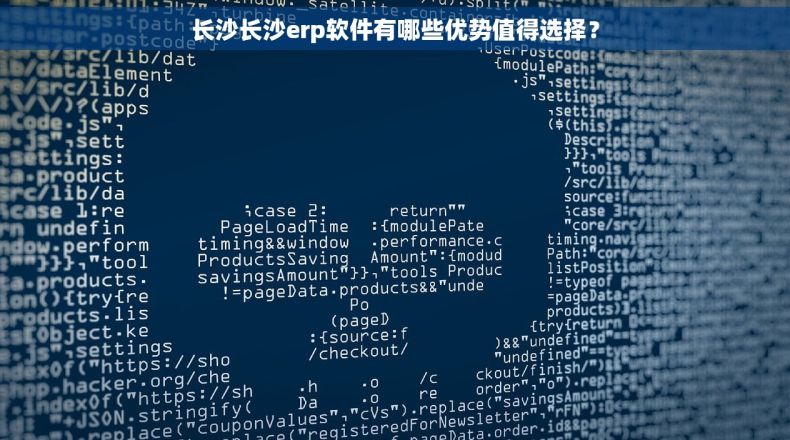 长沙长沙erp软件有哪些优势值得选择？