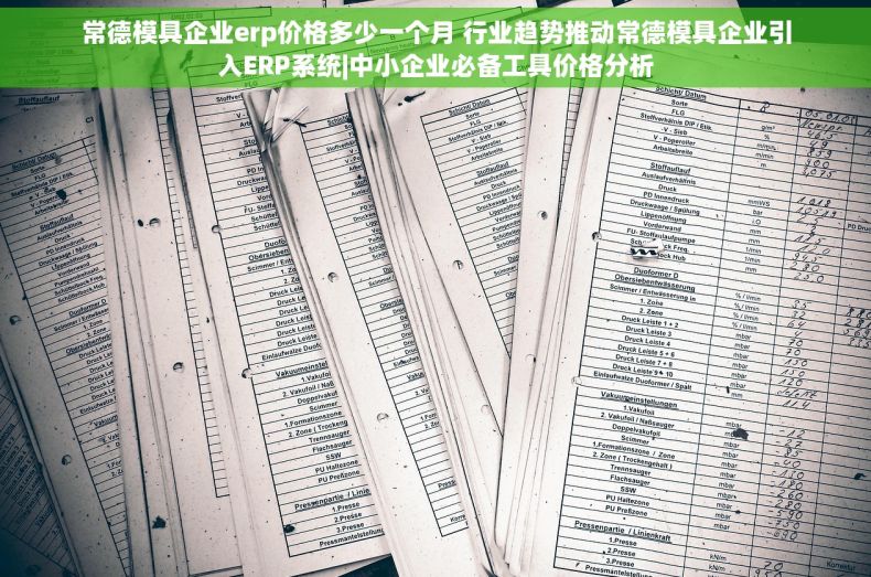 常德模具企业erp价格多少一个月 行业趋势推动常德模具企业引入ERP系统|中小企业必备工具价格分析