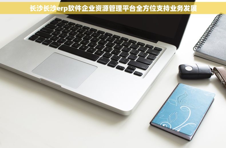 长沙长沙erp软件企业资源管理平台全方位支持业务发展