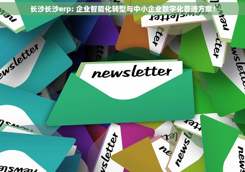 长沙长沙erp: 企业智能化转型与中小企业数字化首选方案！