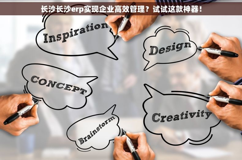 长沙长沙erp实现企业高效管理？试试这款神器！