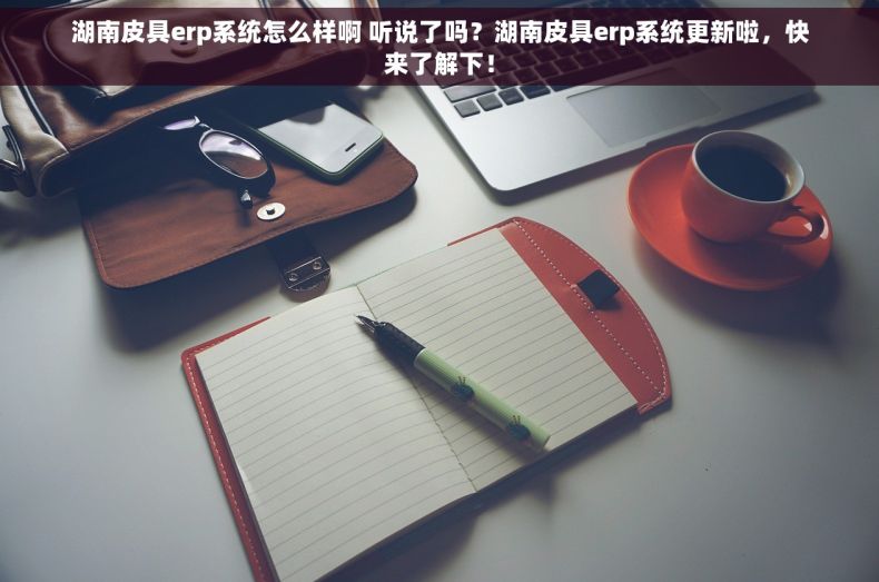 湖南皮具erp系统怎么样啊 听说了吗？湖南皮具erp系统更新啦，快来了解下！