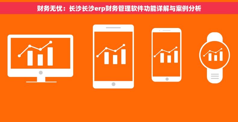 财务无忧：长沙长沙erp财务管理软件功能详解与案例分析