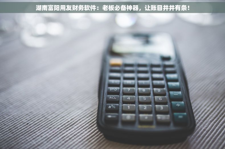 湖南富阳用友财务软件：老板必备神器，让账目井井有条！