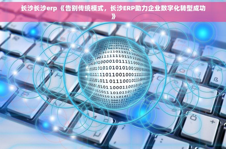 长沙长沙erp 《告别传统模式，长沙ERP助力企业数字化转型成功》