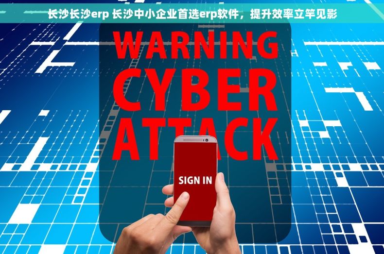 长沙长沙erp 长沙中小企业首选erp软件，提升效率立竿见影