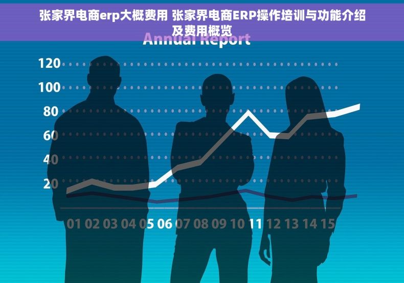 张家界电商erp大概费用 张家界电商ERP操作培训与功能介绍及费用概览