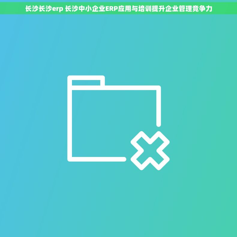 长沙长沙erp 长沙中小企业ERP应用与培训提升企业管理竞争力