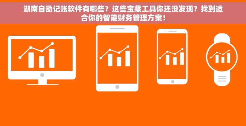 湖南自动记账软件有哪些？这些宝藏工具你还没发现？找到适合你的智能财务管理方案！