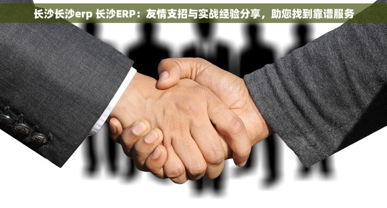 长沙长沙erp 长沙ERP：友情支招与实战经验分享，助您找到靠谱服务