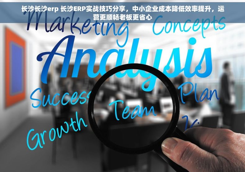 长沙长沙erp 长沙ERP实战技巧分享，中小企业成本降低效率提升，运营更顺畅老板更省心