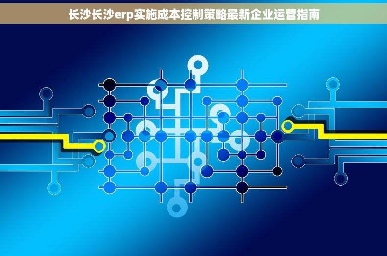 长沙长沙erp实施成本控制策略最新企业运营指南