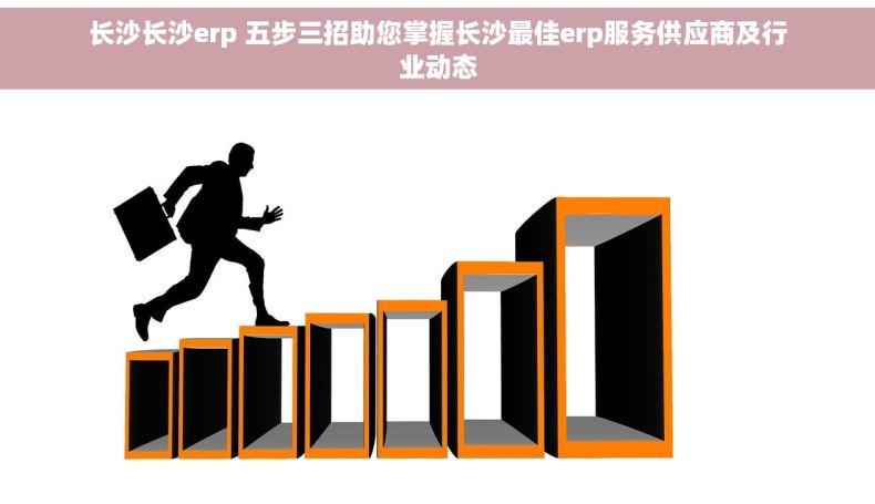 长沙长沙erp 五步三招助您掌握长沙最佳erp服务供应商及行业动态