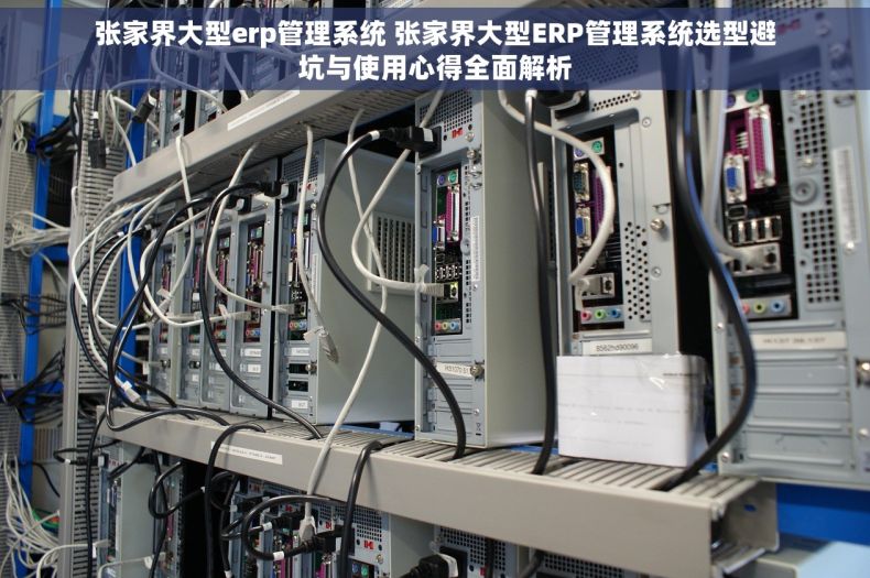 张家界大型erp管理系统 张家界大型ERP管理系统选型避坑与使用心得全面解析