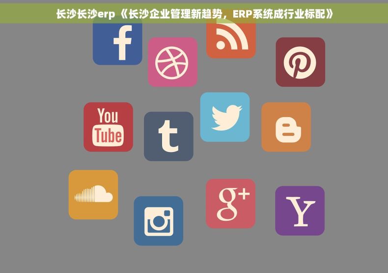 长沙长沙erp 《长沙企业管理新趋势，ERP系统成行业标配》