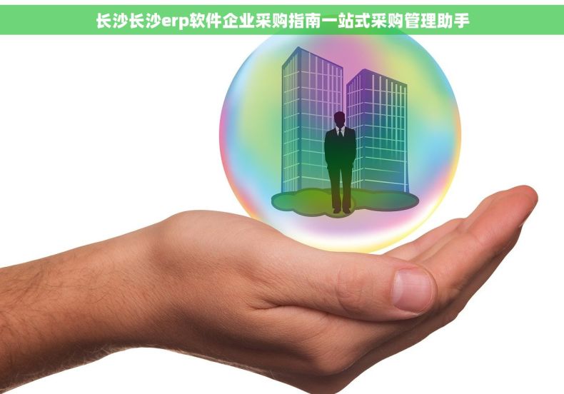 长沙长沙erp软件企业采购指南一站式采购管理助手