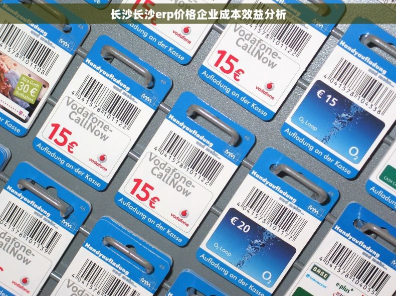 长沙长沙erp价格企业成本效益分析