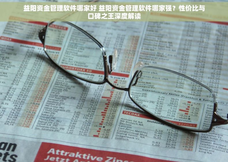 益阳资金管理软件哪家好 益阳资金管理软件哪家强？性价比与口碑之王深度解读