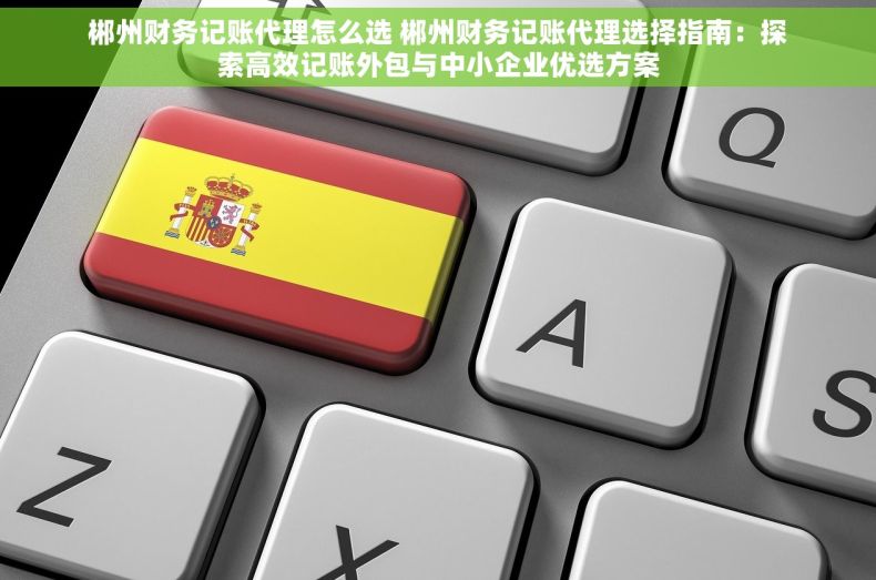 郴州财务记账代理怎么选 郴州财务记账代理选择指南：探索高效记账外包与中小企业优选方案