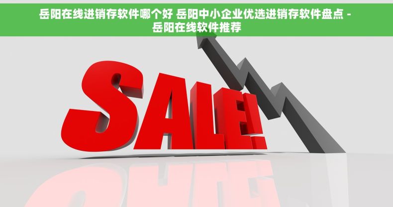 岳阳在线进销存软件哪个好 岳阳中小企业优选进销存软件盘点 - 岳阳在线软件推荐