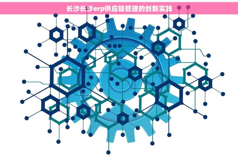 长沙长沙erp供应链管理的创新实践