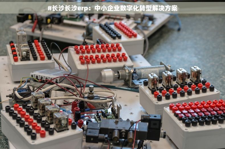 #长沙长沙erp：中小企业数字化转型解决方案