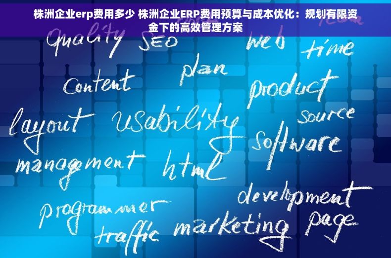 株洲企业erp费用多少 株洲企业ERP费用预算与成本优化：规划有限资金下的高效管理方案