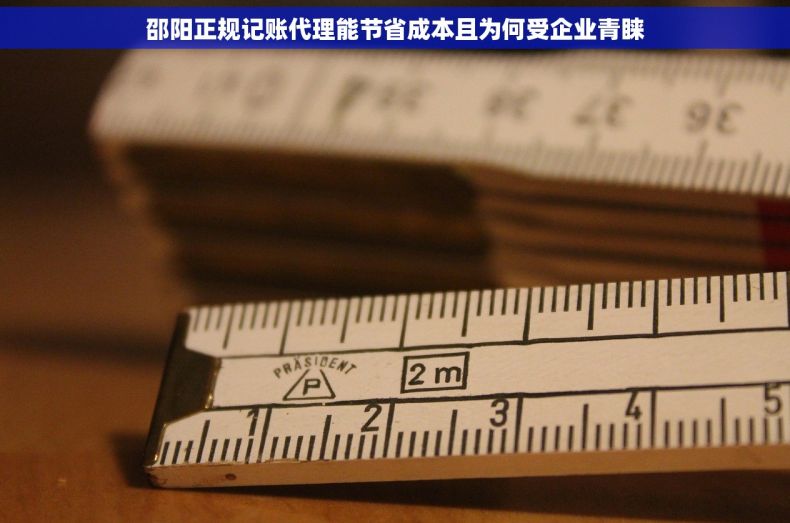 邵阳正规记账代理能节省成本且为何受企业青睐