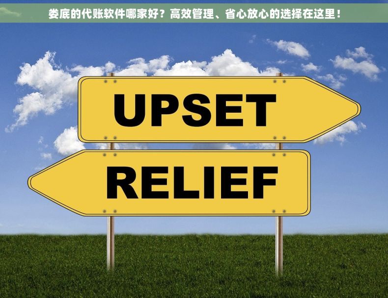 娄底的代账软件哪家好？高效管理、省心放心的选择在这里！