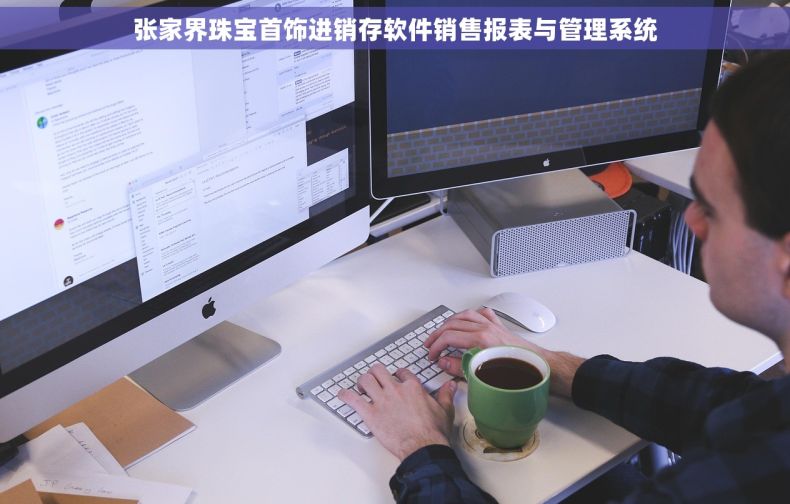 张家界珠宝首饰进销存软件销售报表与管理系统