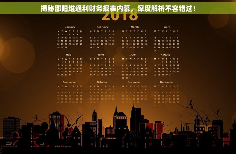 揭秘邵阳维通利财务报表内幕，深度解析不容错过！