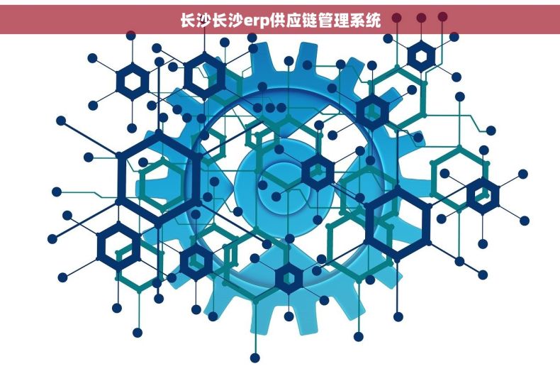 长沙长沙erp供应链管理系统