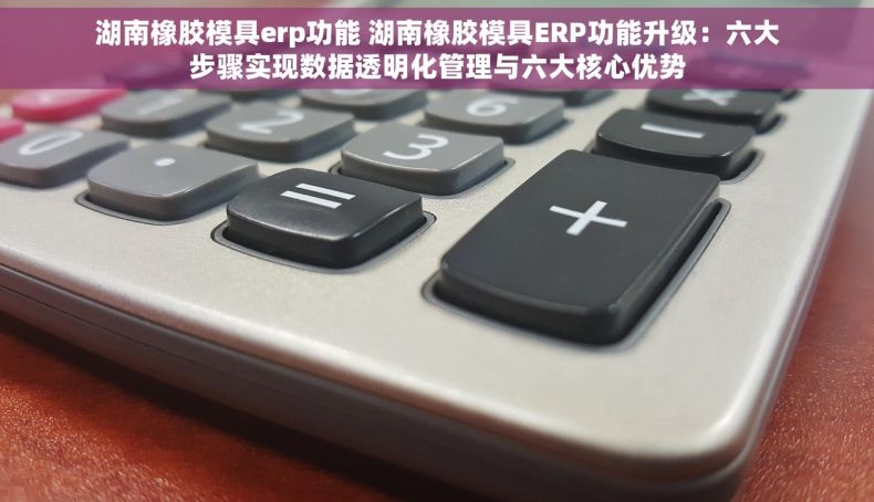湖南橡胶模具erp功能 湖南橡胶模具ERP功能升级：六大步骤实现数据透明化管理与六大核心优势