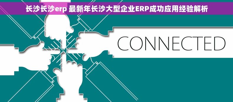 长沙长沙erp 最新年长沙大型企业ERP成功应用经验解析