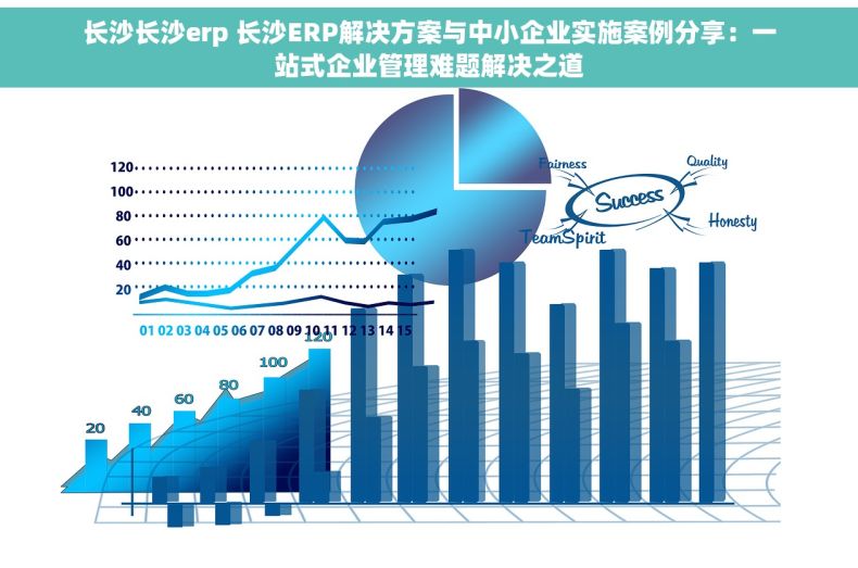 长沙长沙erp 长沙ERP解决方案与中小企业实施案例分享：一站式企业管理难题解决之道