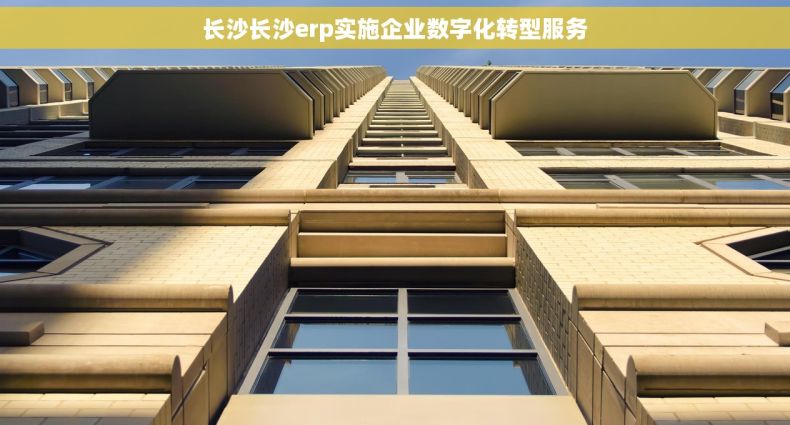 长沙长沙erp实施企业数字化转型服务