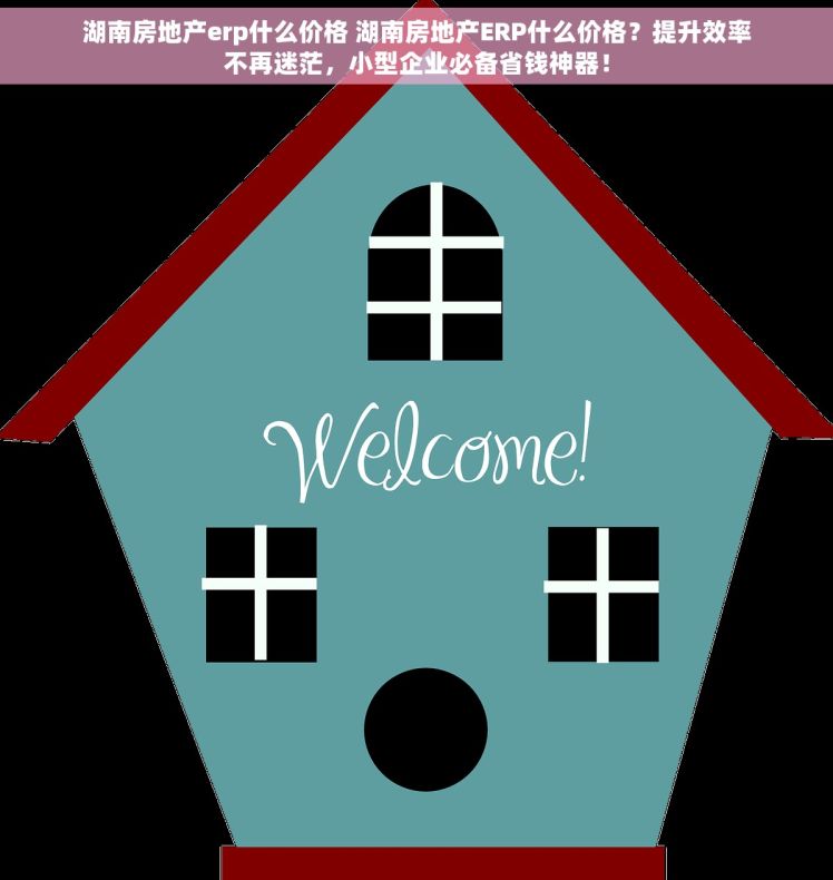 湖南房地产erp什么价格 湖南房地产ERP什么价格？提升效率不再迷茫，小型企业必备省钱神器！