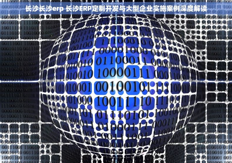 长沙长沙erp 长沙ERP定制开发与大型企业实施案例深度解读