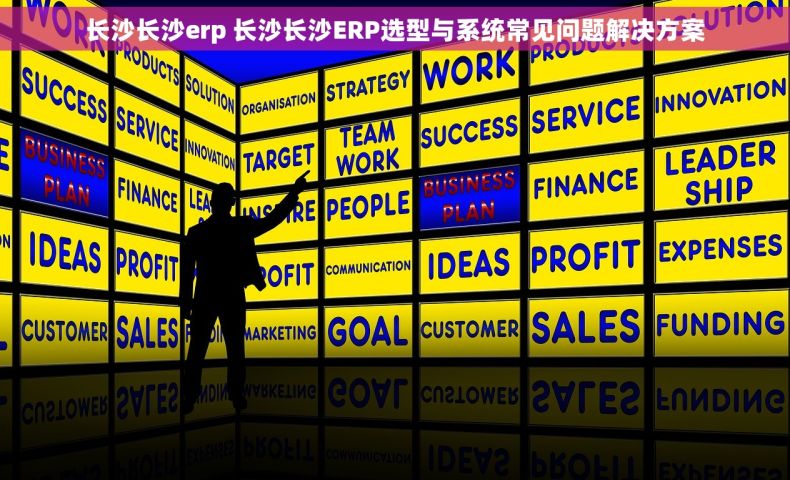长沙长沙erp 长沙长沙ERP选型与系统常见问题解决方案