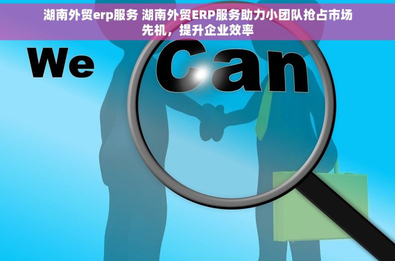 湖南外贸erp服务 湖南外贸ERP服务助力小团队抢占市场先机，提升企业效率