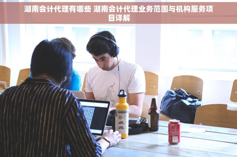 湖南会计代理有哪些 湖南会计代理业务范围与机构服务项目详解
