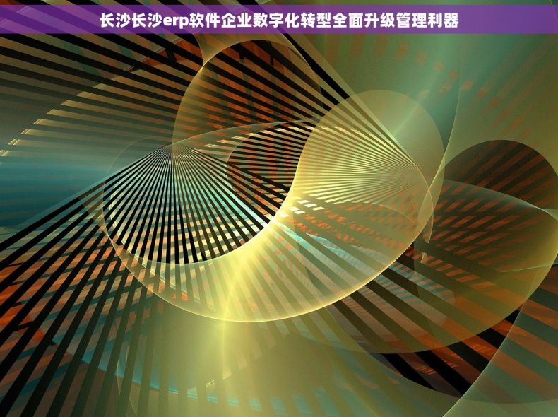 长沙长沙erp软件企业数字化转型全面升级管理利器