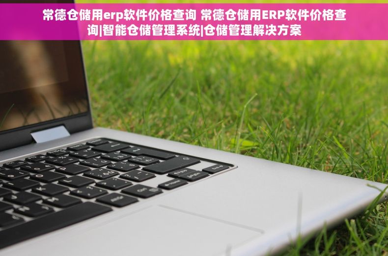 常德仓储用erp软件价格查询 常德仓储用ERP软件价格查询|智能仓储管理系统|仓储管理解决方案