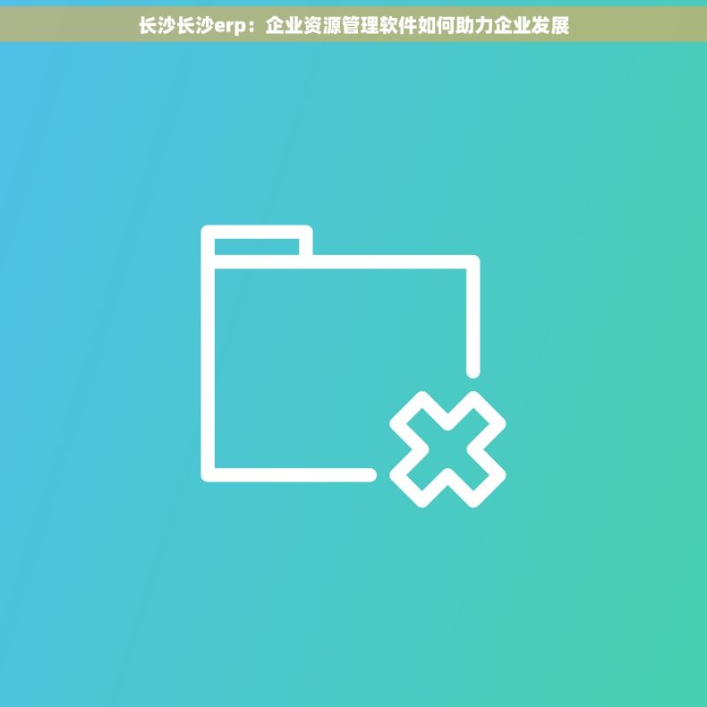 长沙长沙erp：企业资源管理软件如何助力企业发展