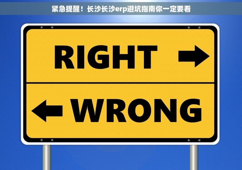 紧急提醒！长沙长沙erp避坑指南你一定要看