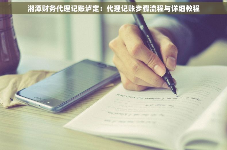 湘潭财务代理记账泸定：代理记账步骤流程与详细教程