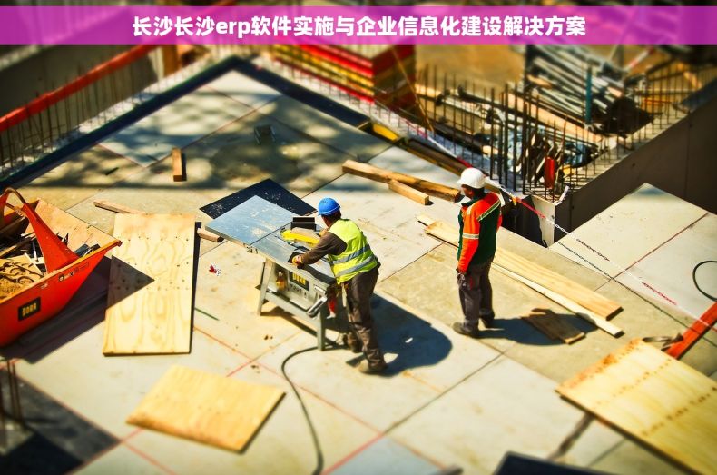 长沙长沙erp软件实施与企业信息化建设解决方案