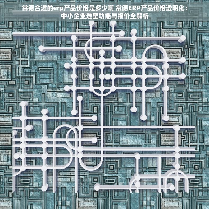 常德合适的erp产品价格是多少啊 常德ERP产品价格透明化：中小企业选型功能与报价全解析