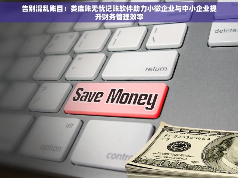 告别混乱账目：娄底账无忧记账软件助力小微企业与中小企业提升财务管理效率